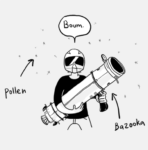 pollen